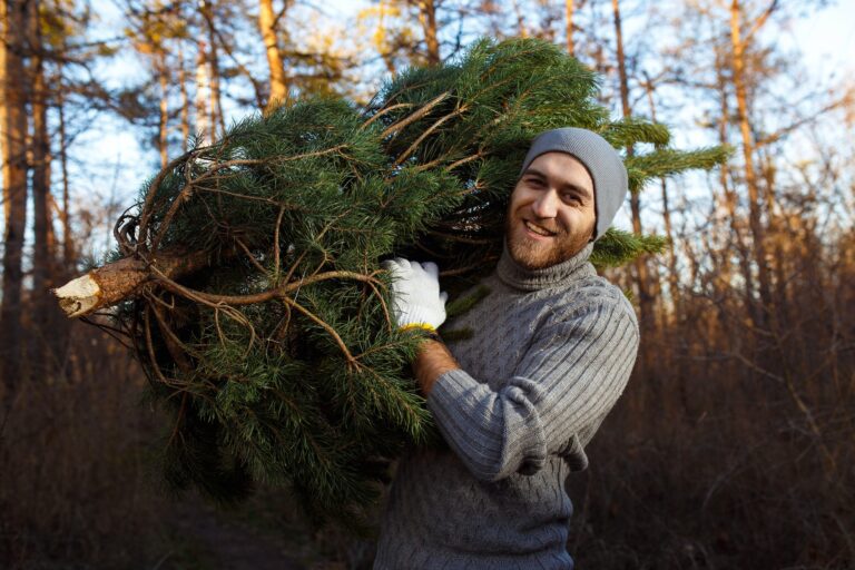 Young man is carrying christmas tree in the wood. men with a beard bears home a Christmas tree.
